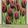 Tulip Slawa