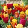 Tulip Spring Essentials Blend